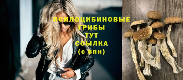 таблы Арсеньев