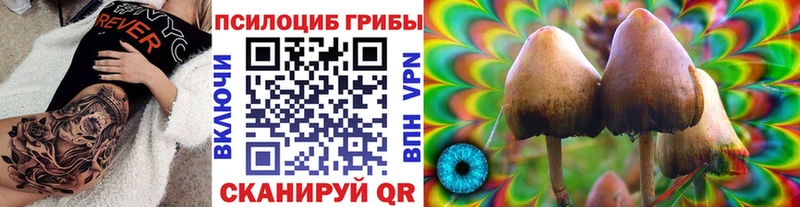 Псилоцибиновые грибы Cubensis  Ахтубинск 